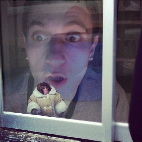 1368399360-ikea-monkey20130512-19-1wupbbg