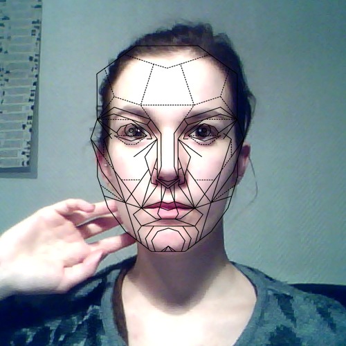 1368680511-golden-ratio20130516-19-19pbyi8