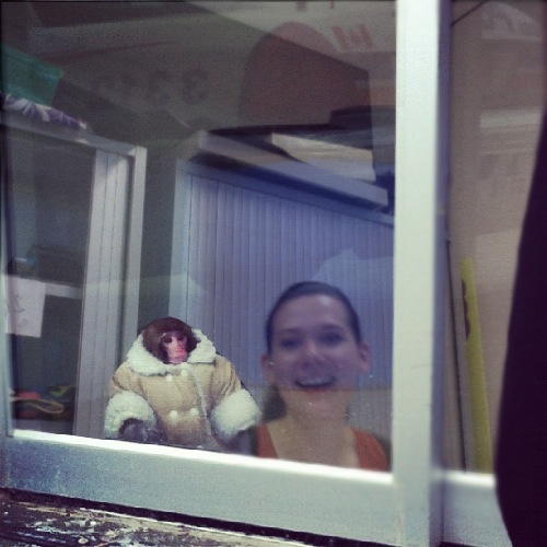 1368703129-ikea-monkey20130516-13-1rrft5d
