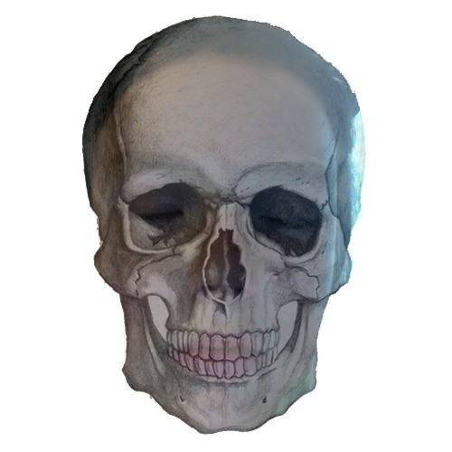 1369003818-skull-220130519-25-18x8cui