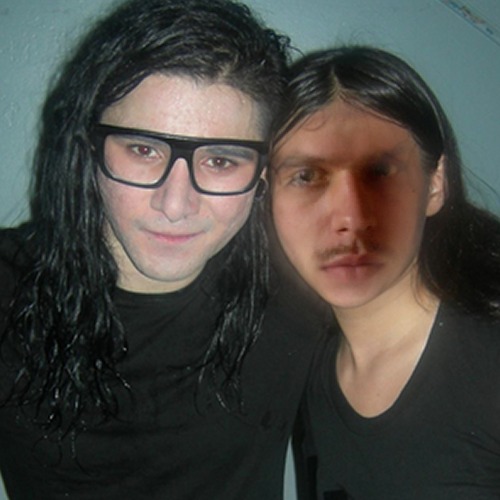 1369240375-skrillex-and-i-gaborikaraba20130522-7-juo0y6