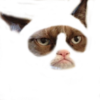 Vgpbedaouaarmojccywbjdsq
