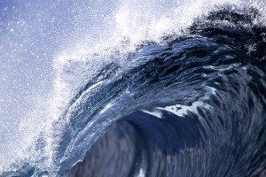 wavelip