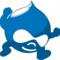 Thumbnail_drupal%20web%20development-small