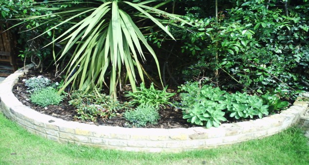 Planting that will fill the bed as it matures