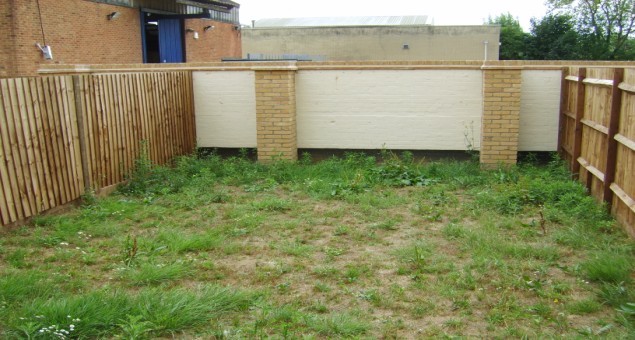 Our client worked long hours and it therefore had to be fairly low maintenance. Privacy was also an issue. 
