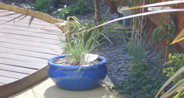 Lush semi-tropical foliage plants and flowers in a calming colour palette of blues, purples and white, complete the picture to create a tranquil haven for our client and her family. 
