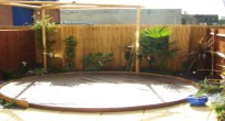Small modern garden