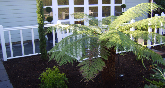 Lush, tropical-style planting completes the look. 