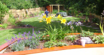 image of a large suburban family garden