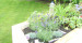 This a garden that can really be enjoyed whatever the mood, whatever the season. 