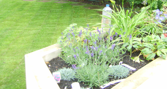 This a garden that can really be enjoyed whatever the mood, whatever the season. 