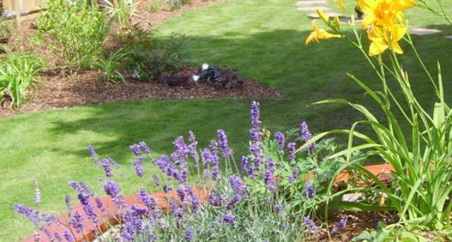 This garden has all the different elements our clients requested but it works as an integrated whole and this, together with planting will provide year-round interest.
