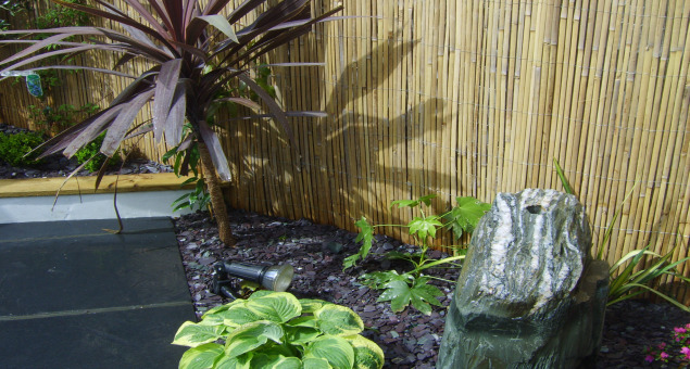 The planting scheme was bold using structural plants such as Cordylines, Phormiums and Fatsias, and incorporating old favourites such as Lavender and clipped Box. 