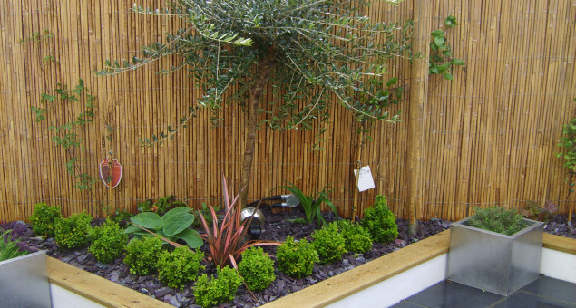 Further contemporary touches were added with aluminium planters and an interesting lighting scheme. 