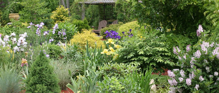 A designed garden, landscaped in Sussex
