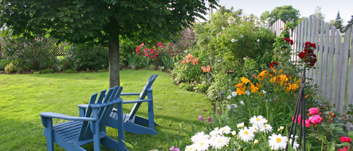 The results of a careful garden clearance in Sussex