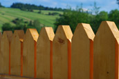 Rural fencing and garden gates in Sussex