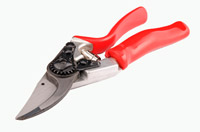Secateurs - useful for hedge cutting and topiary