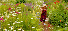 A garden in Sussex in full spring bloom