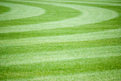 Professional turfing services in Sussex