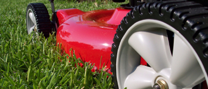 A beautifully maintained Sussex lawn
