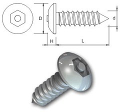 TR Security Self Tapping Screws Type 7 Button Head