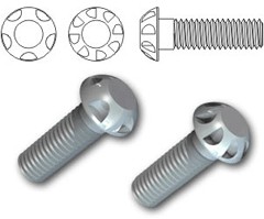 TR Security Machine Screws Type 12