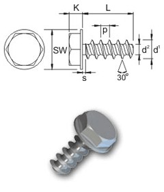 Hexagon Flange head 30 screws