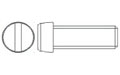 Narrow Cheese Head Slotted