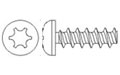 Pan head 30 screws - Recess T