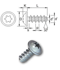 Flange head 30 screws - Recess T