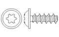 Flange head 30 screws - Recess T