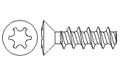 Raised Countersunk head 30 screws - Recess T