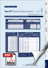 Type BT Thread Cutting Screws