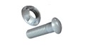 TR Security Bolts & Nuts