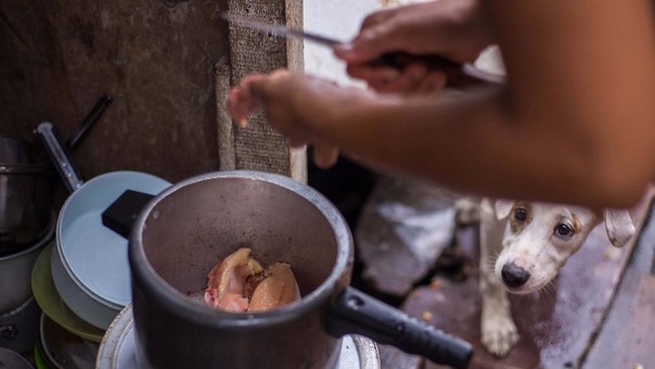 Brasil, uno de los países en los que más casos se han detectado, está investigando si el virus está vinculado a los casos de nacimientos de niños con microcefalia. 