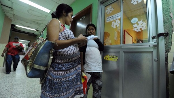 La enfermedad del zika, transmitida por la picadura del mosquito 