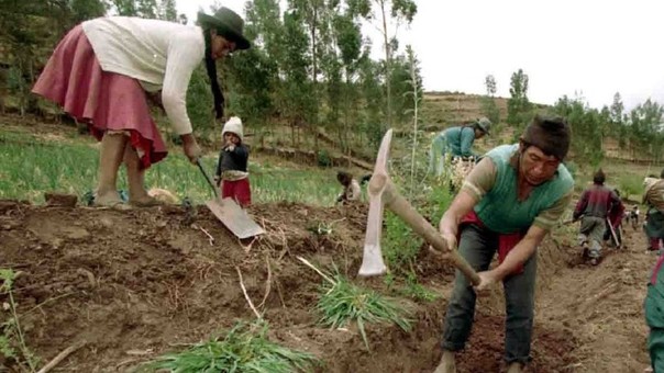 Agricultura de Cusco