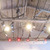 _mg_5915_1.thumb