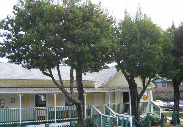 Front_of_building.slide