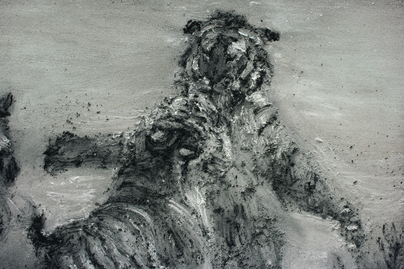 , 2010. Ash on linen, 110x150cm.