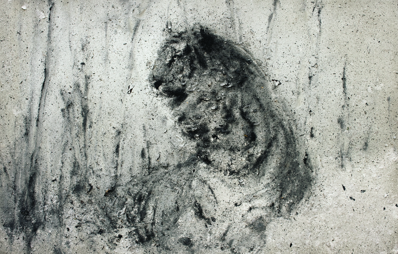 , 2010. Ash on linen, 160x250m.