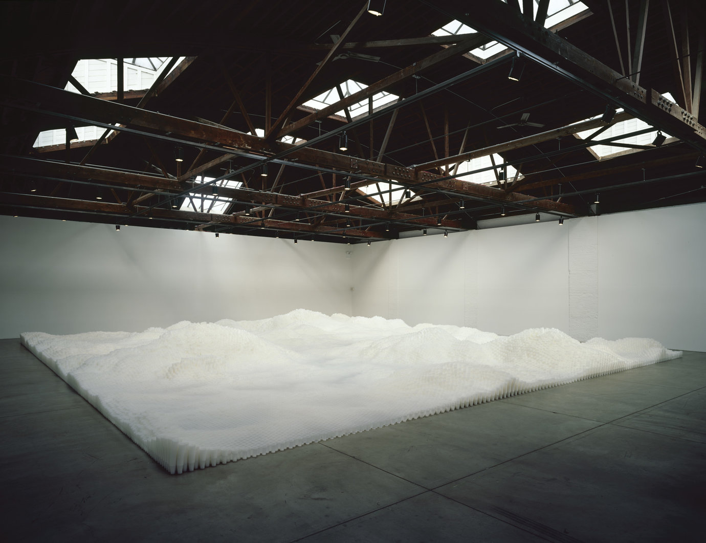 , 2006. Plastic cups, dimensions variable.