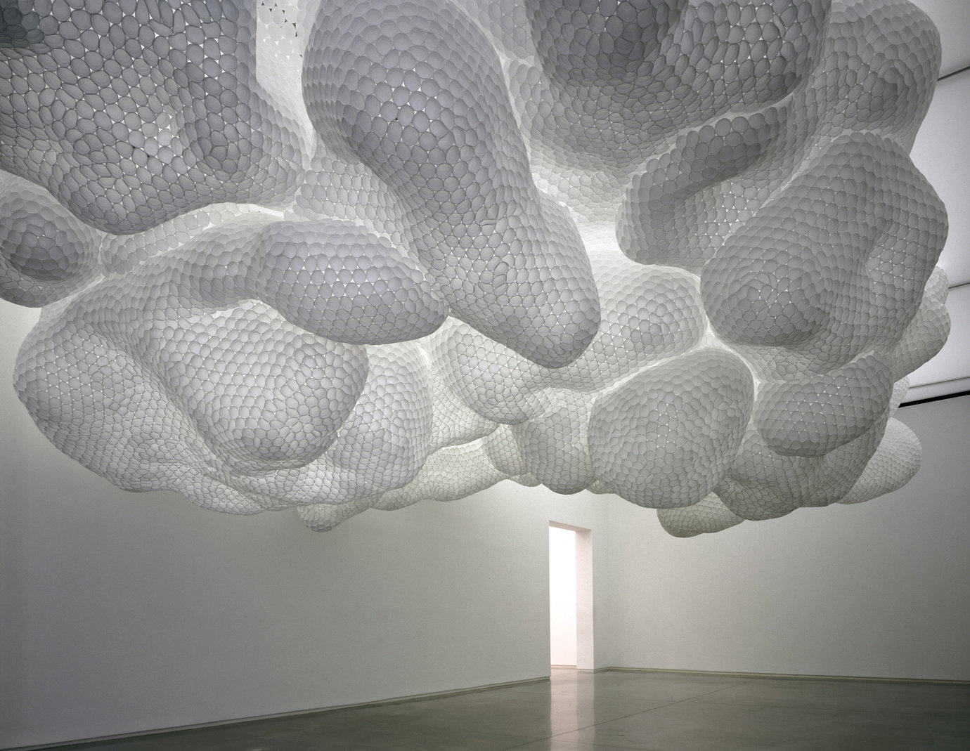 , 2008. Styrofoam cups and glue, installation dimensions variable.