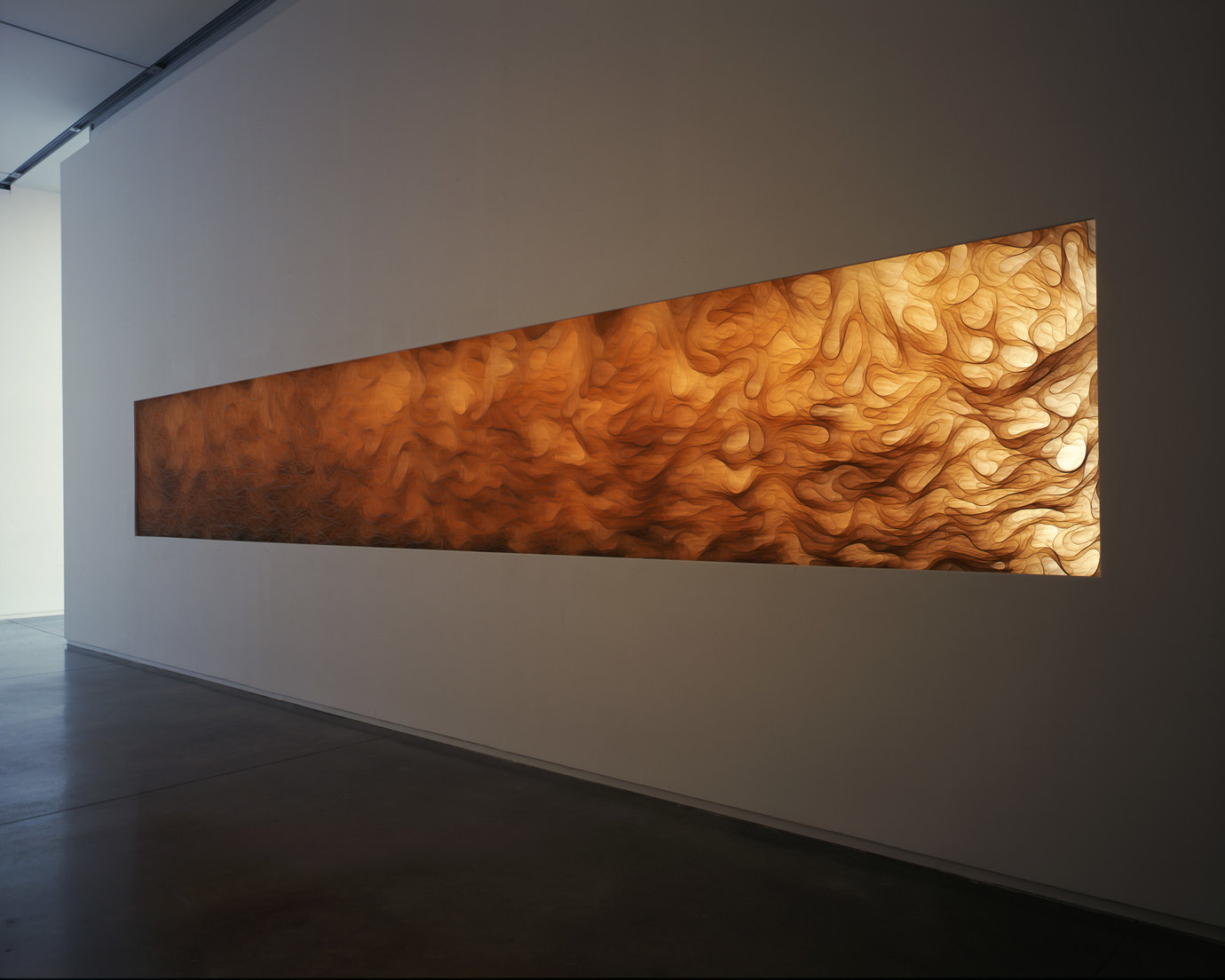 , 2008. Polyester film, installation dimensions variable.