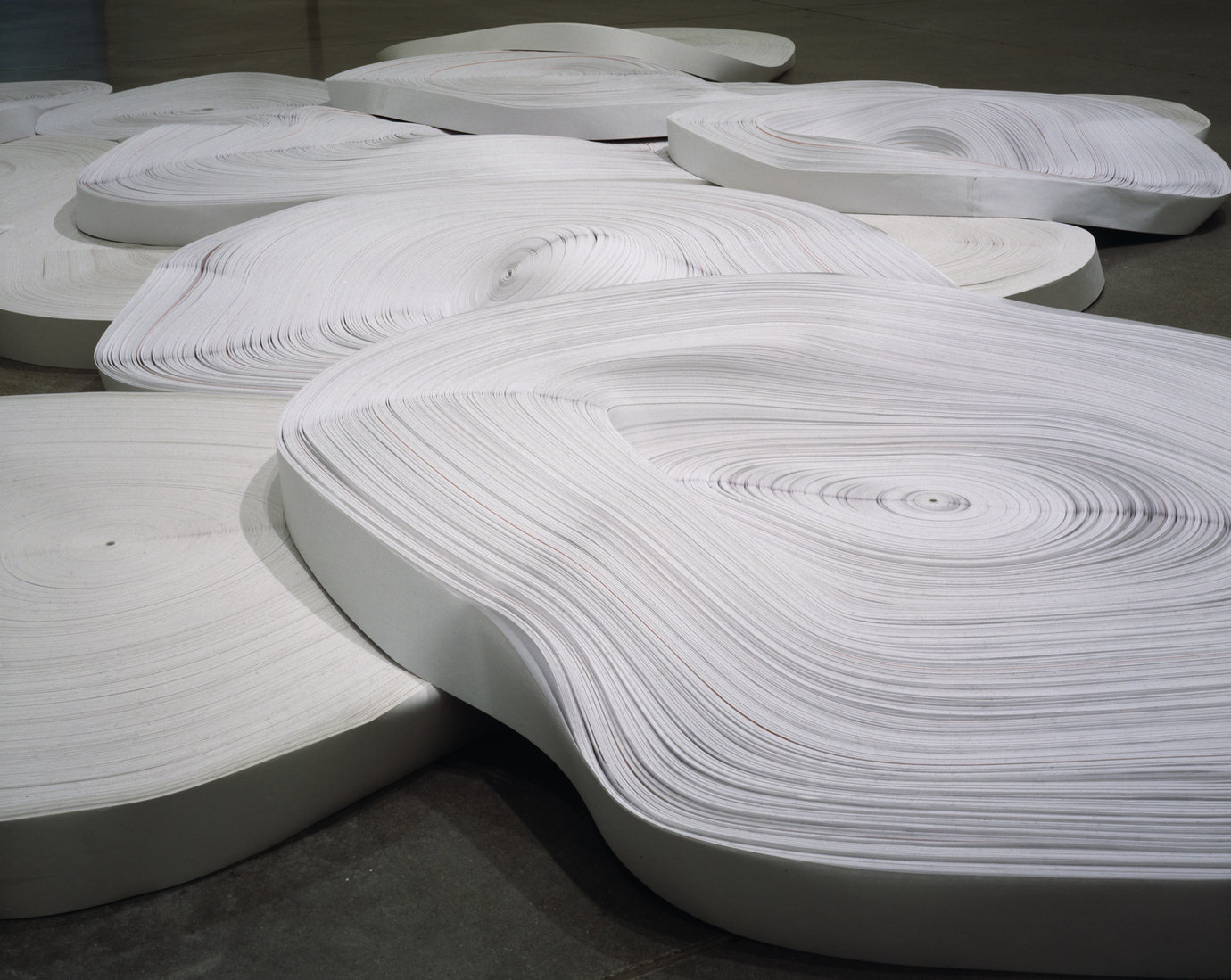 , 2008. Adding machine paper, 8" x 9' x 32' (20.3 cm x 274.3 cm x 975.4 cm).