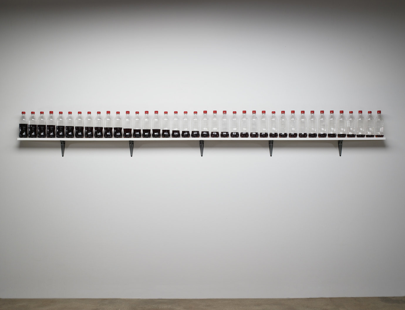 , 2008. Plastic beverage bottles with plastic screw caps, coca cola, painted wood shelf and painted metal brackets, 1' 2-3/4" x 10' x 3-1/2" (37.5 cm x 304.8 cm x 8.9 cm).