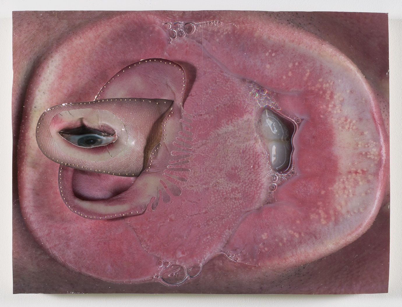 , 2007. Photo collage and urethane foam on panel, 19" x 25" (48.3 cm x 63.5 cm).