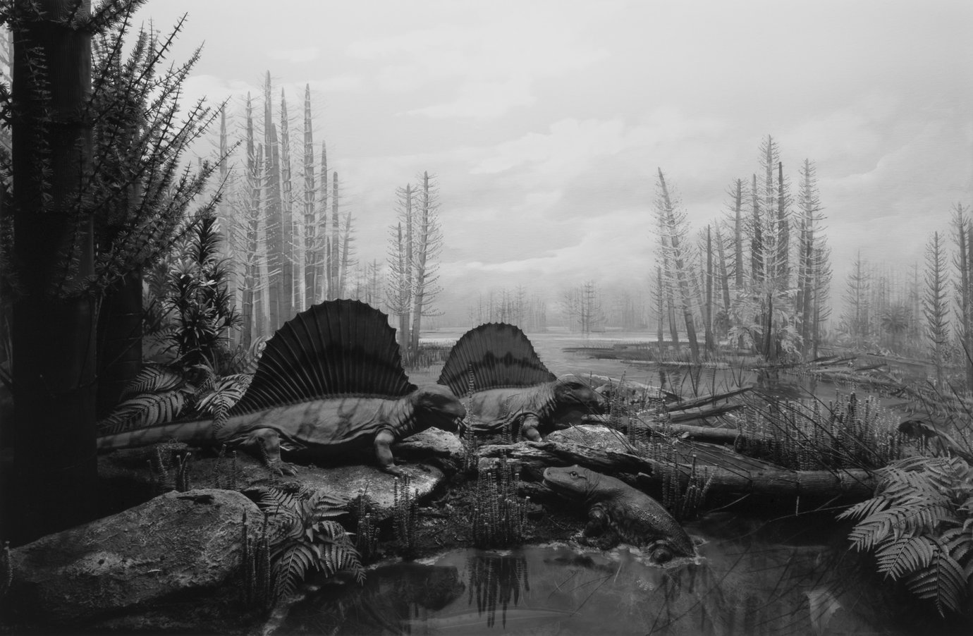 , 1992. Gelatin silver print, 47" x 73" (119.4 cm x 185.4 cm).